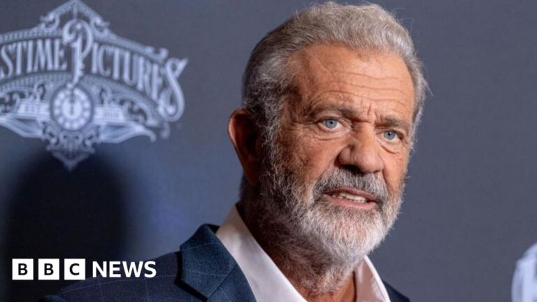 Mel Gibson says house burned in LA wildfires.