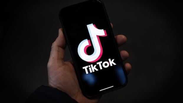 TikTok tells US users it will be ‘temporarily unavailable’ from Sunday