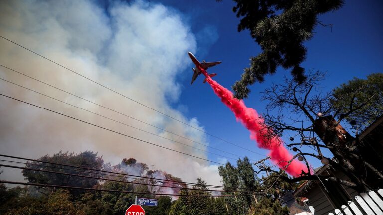 LA wildfires: Aerial firefighter leader says blaze should be ‘wake-up’ call.