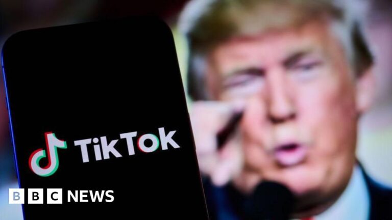 The TikTok ban will be a major test for Trump as a businessman