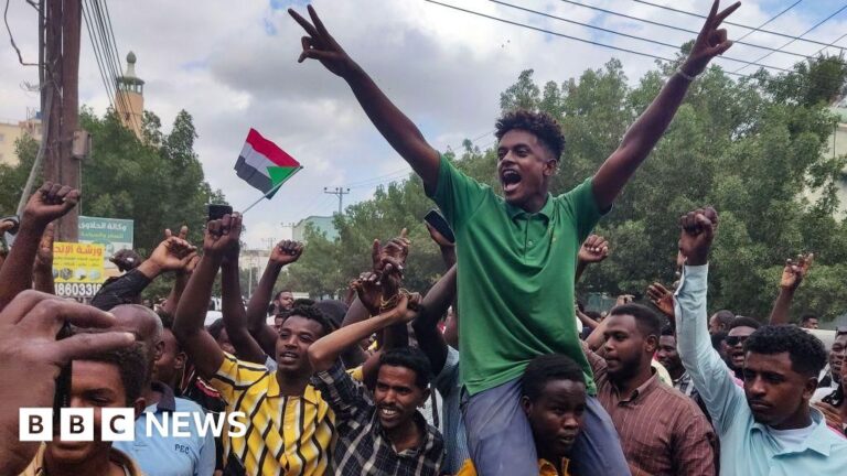 The Sudanese army announced that it captured the key eastern city from the rebels