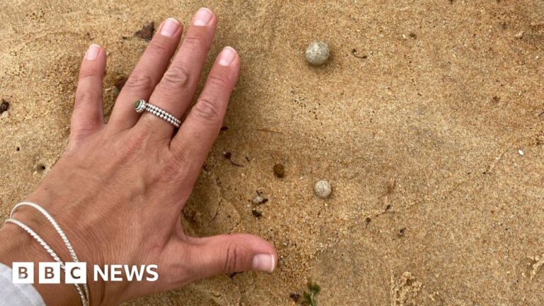 The debris forced the closure of nine beaches