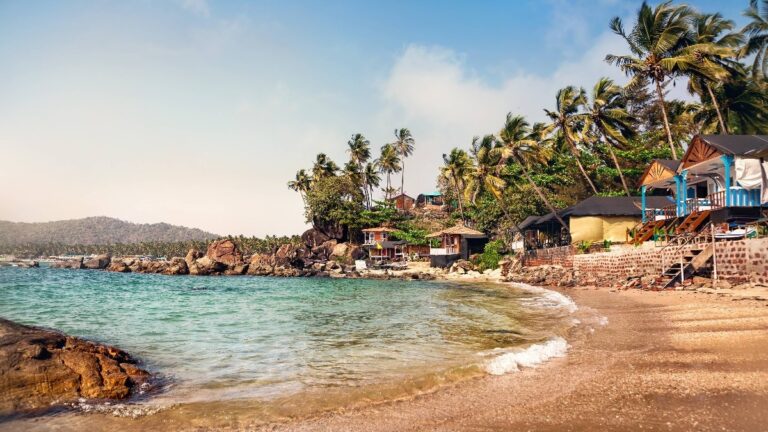 ‘This investment is going to die…’: CEO’s brutal take on Goan tourism crisis