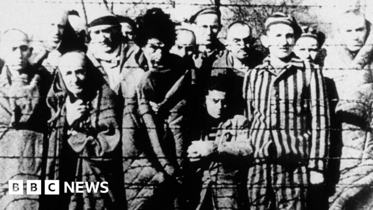 Holocaust survivors fear that Europe will forget the teachings of Akashvit