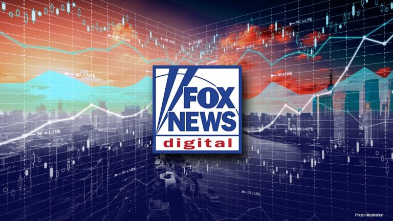 Fox News Digital Finishes 2024 as Top News Brand Among Key Metrics