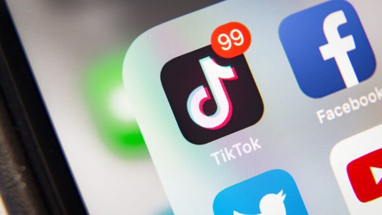 Privacy groups, experts, parents praise SCOTUS’s TikTok ban, while others criticize the decision as ‘anti-democratic’.