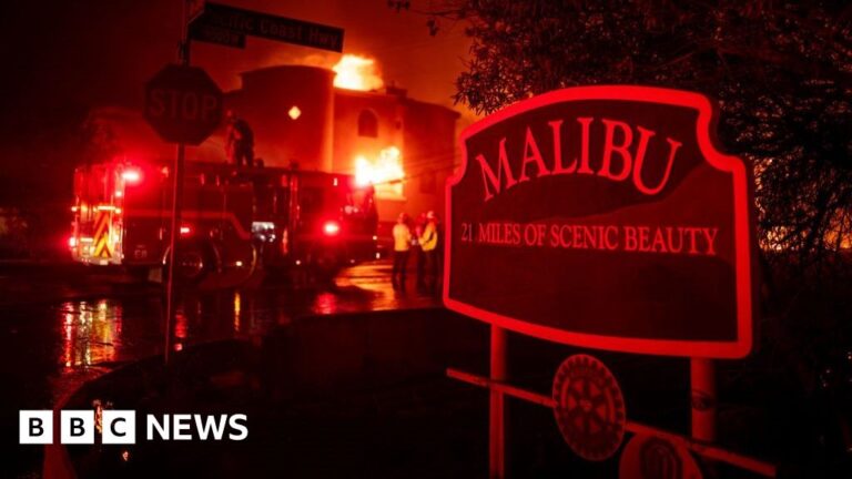 LA man saves street from ‘apocalyptic’ wildfire.