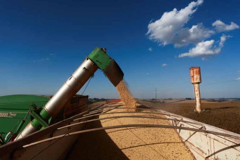 Sources said that the export of special Brazilian soybeans to China from five companies has been suspended