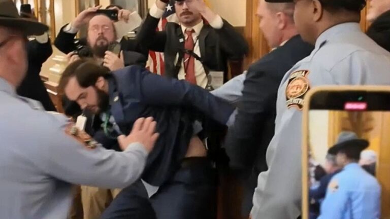 A state senator was arrested and pushed to the ground while trying to enter the Georgia House chamber