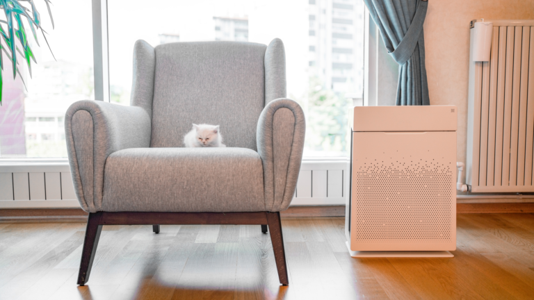 Improve your indoor air quality with the help of these nine products