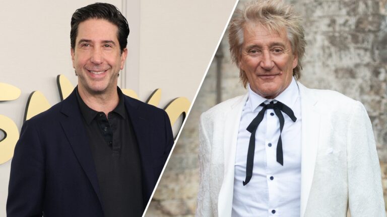 ‘Friends’ star David Schwimmer has served Rod Stewart with divorce papers.