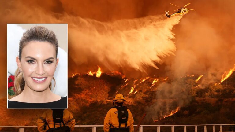 Hollywood actress calls LA Fires a ‘disaster’ and says not enough is being done by elected officials.