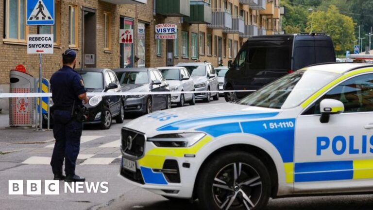 Sweden’s plan is to remove citizenship from people deemed a threat to the country.