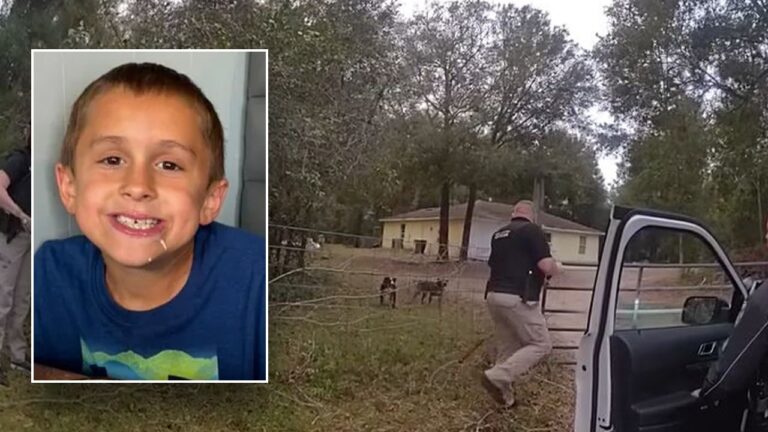 8-year-old Florida boy killed by dogs while riding bike, sheriff says