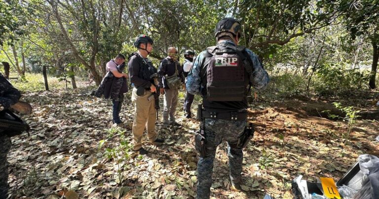 The bodies of 24 people were found dismembered in a mass grave in Mexico