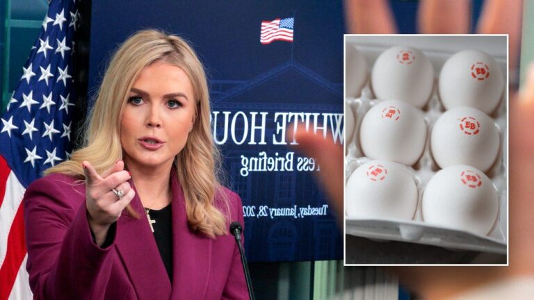 The White House participate that they have contributed greatly to high egg prices