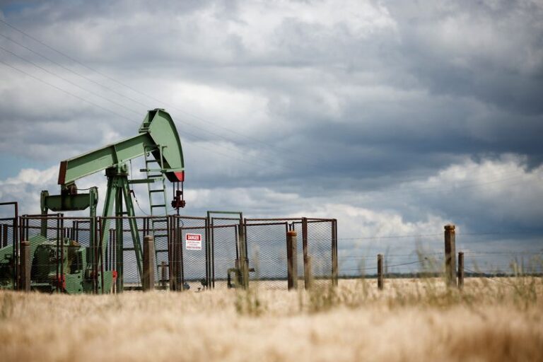 Oil prices steady as markets weigh Trump’s output outlook, tight supplies. By Investing.com