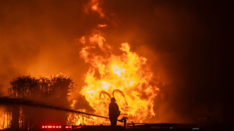 Los Angeles wildfires: Big businesses donate, offer services to victims of inferno