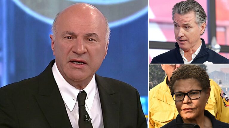 O’Leary on wildfire aid: ‘Not a dime’ until Gavin Newsom, Karen Bass are removed from office