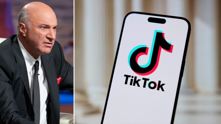 Kevin O’Leary Puts $20 Billion TikTok Funding Offer On The Table: ‘Very Interesting, Complicated, Crazy Situation’