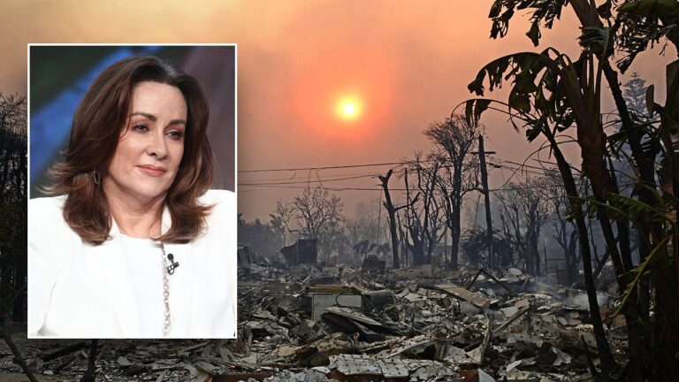 “We can’t just rely on the government,” said Patricia Heaton of the LA Firefighters