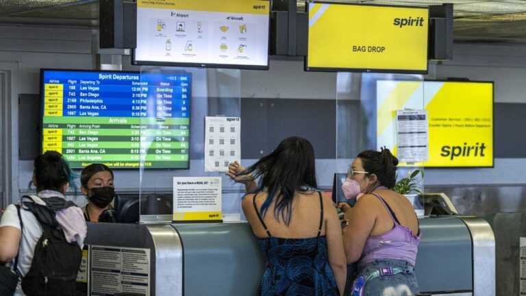 Spirit Airlines does not allow passengers with inappropriate clothing or tattoos to fly.