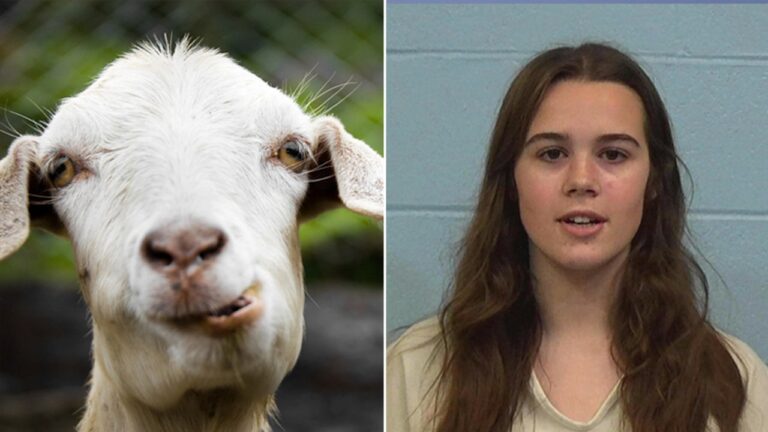 The cheerleader who was accused of poisoning the opponent’s goat was given a special punishment