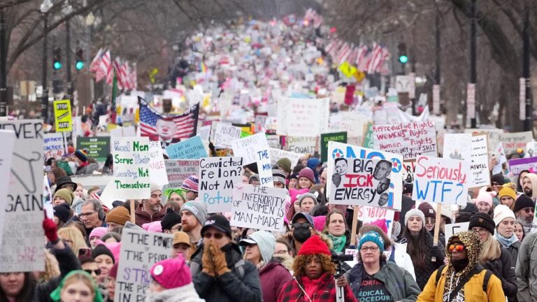 Thousands of left-wing protesters descended on Washington to protest Trump’s inauguration