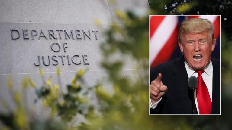 Professional Justice Department officials are assigned to various positions: Reports