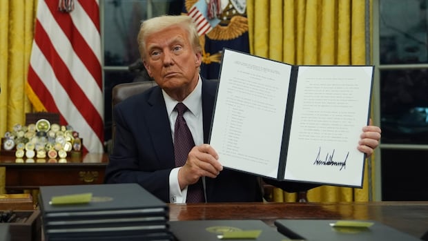 What are executive orders in the US and how much power do they have?