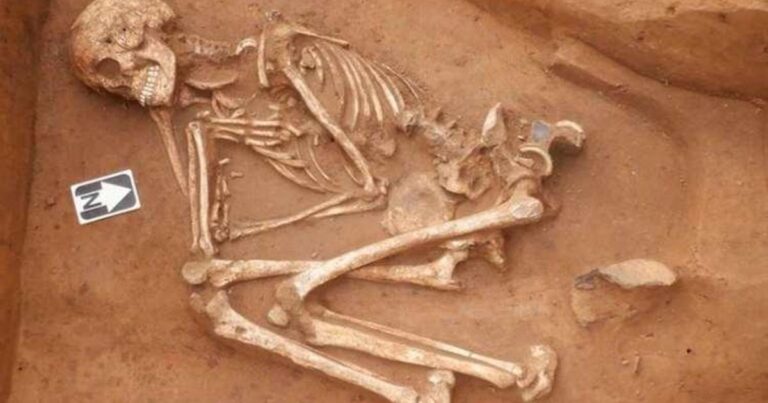 In the UK, the skeleton of a Bronze Age woman was found on the site of a building