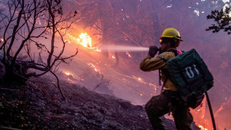 Judge Judy’s son faces charges over deadly LA fires.